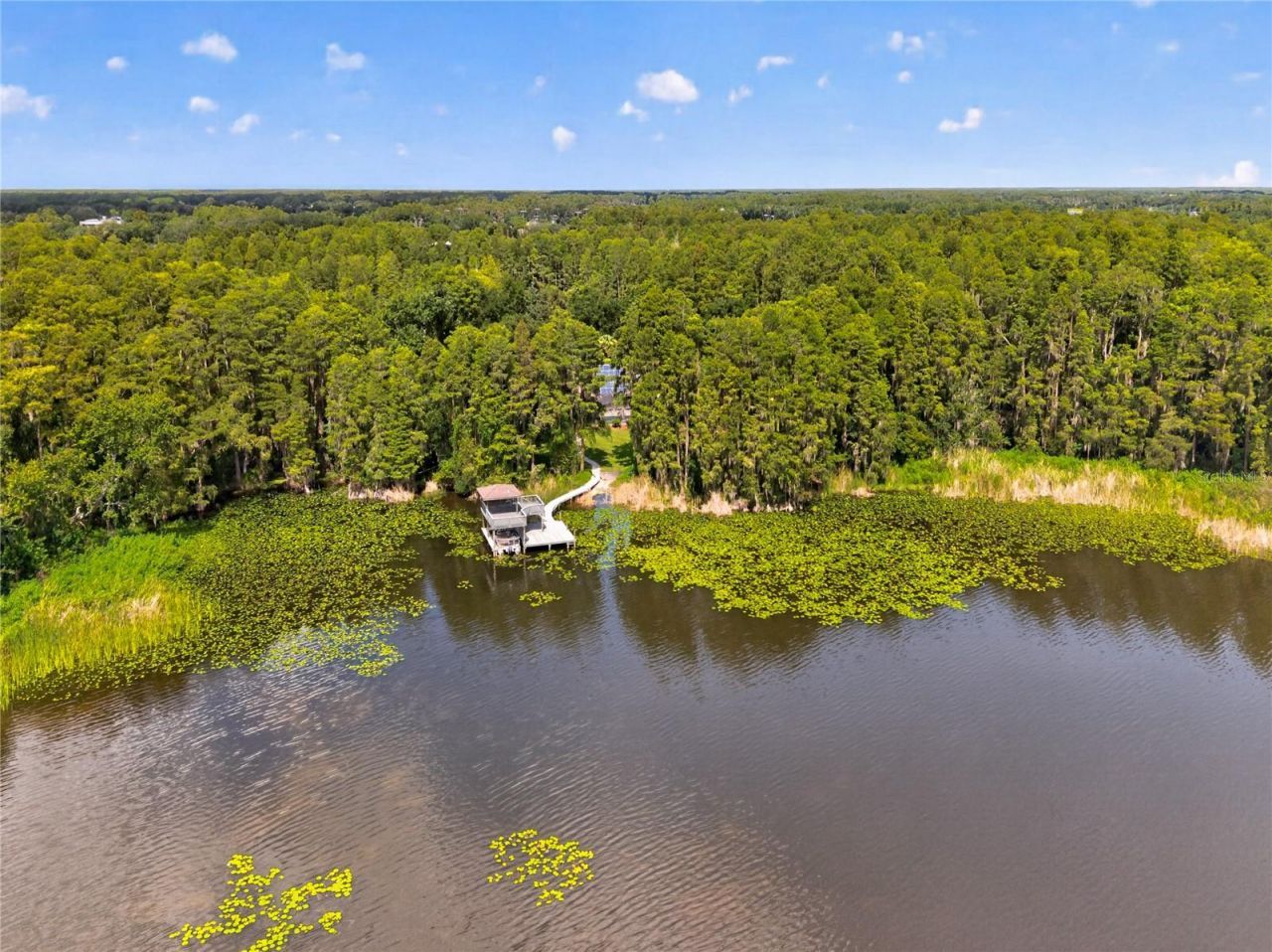 21732 Shamu Drive, Land O Lakes, FL 34639 Photo
