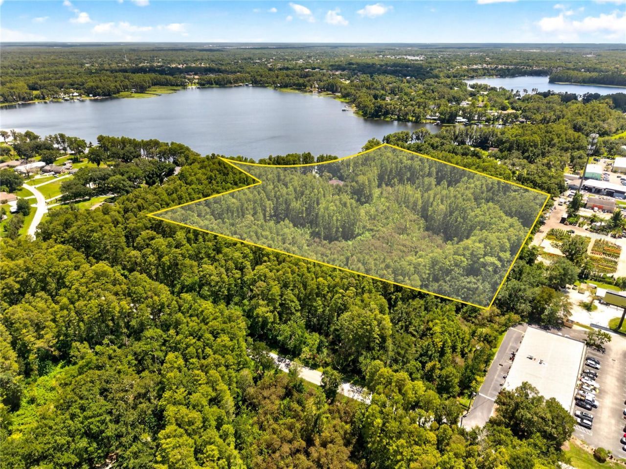 21732 Shamu Drive, Land O Lakes, FL 34639 Photo