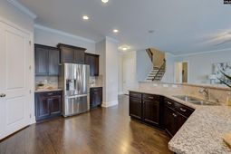 291 Palm Sedge Loop  photo 4