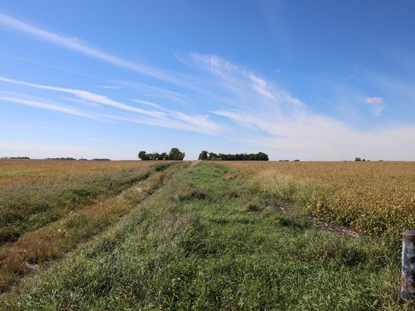 81893 470th Street, Hector, MN 55342