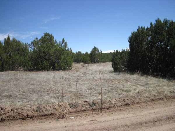 110 Jesse James Road , Edgewood, NM 87015