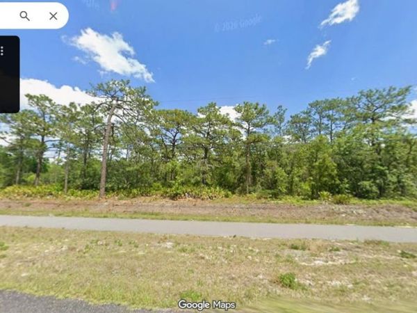 11379 S SUNCOAST BOULEVARD, HOMOSASSA, FL 34446