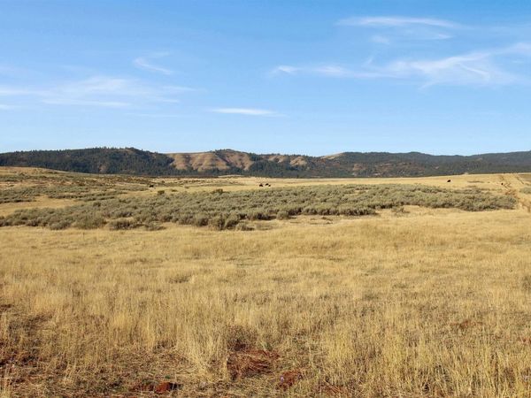 TBD Airport Rd., Council, ID 83612