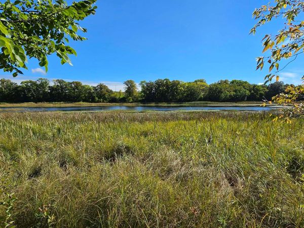 TBD Pleasant Lake Trail , Sverdrup Twp, MN 56586