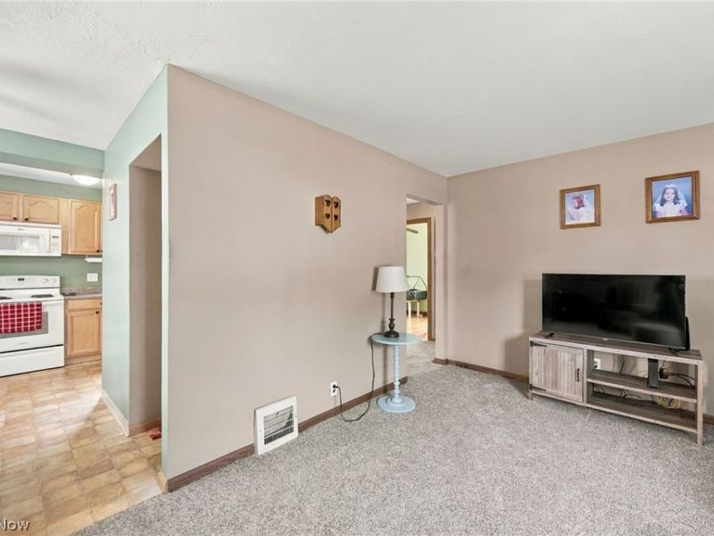 29808 Robert Street, Wickliffe, OH 44092 Photo 4