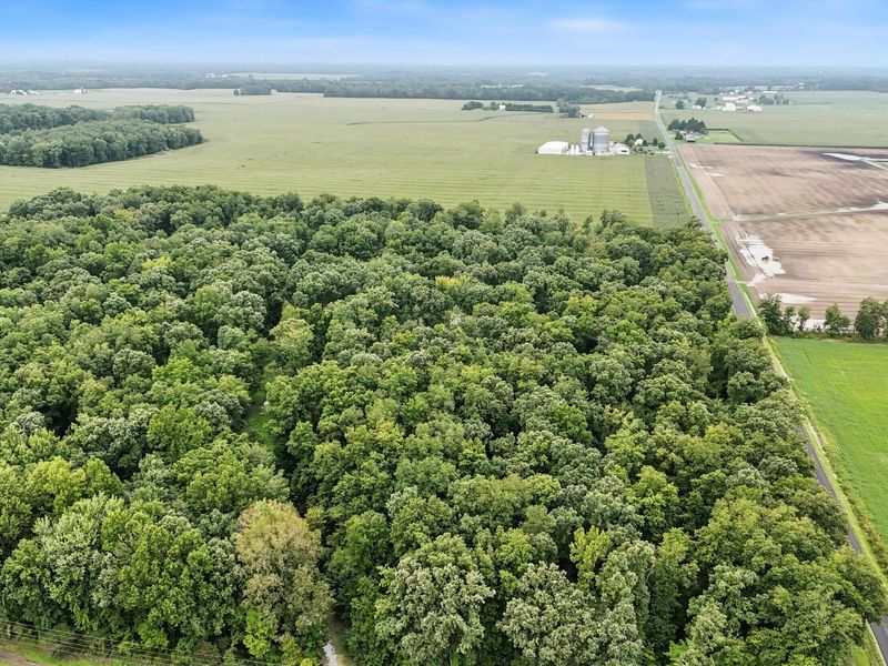 0 County Road 97, Unit Lot #1, Mount Gilead, OH 43338 Photo 5