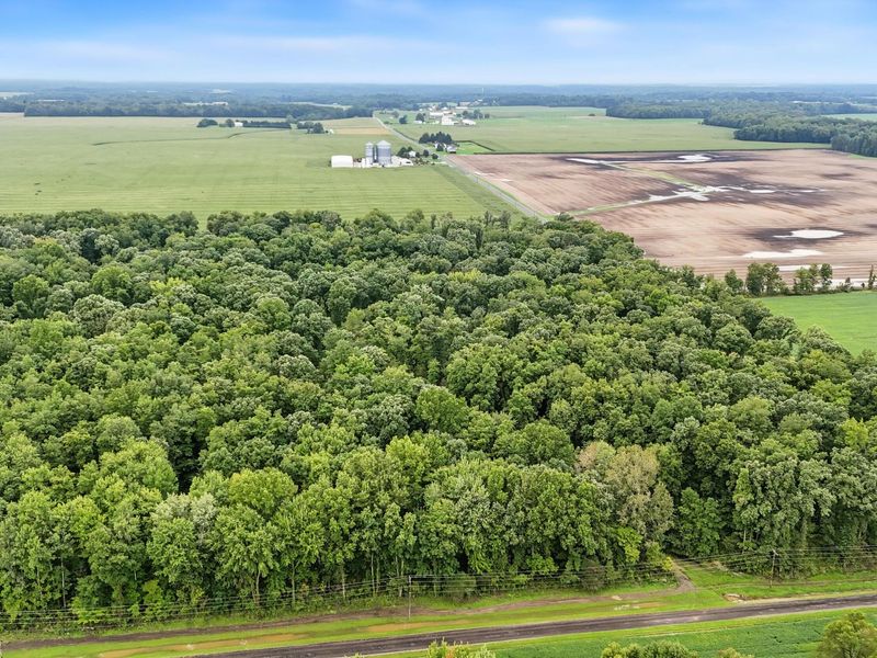 0 County Road 97, Unit Lot #1, Mount Gilead, OH 43338 Photo 6