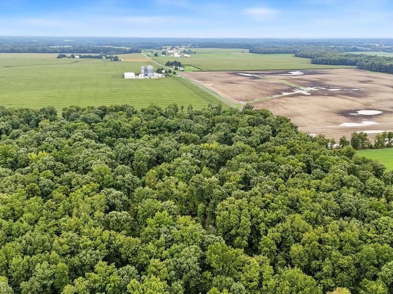 0 County Road 97, Unit Lot #1, Mount Gilead, OH 43338 Photo 7