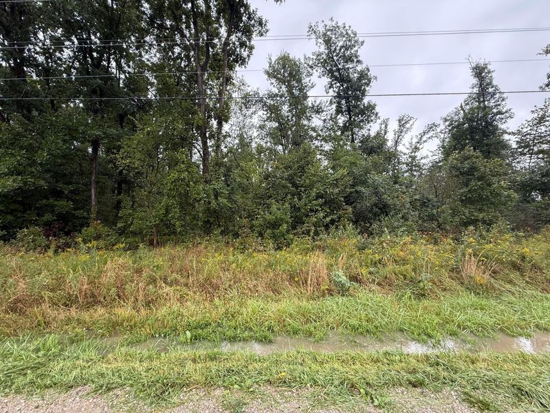 0 County Road 97, Unit Lot #1, Mount Gilead, OH 43338 Photo 8