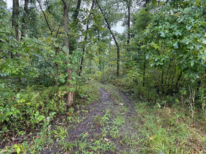 0 County Road 97, Unit Lot #1, Mount Gilead, OH 43338 Photo 9