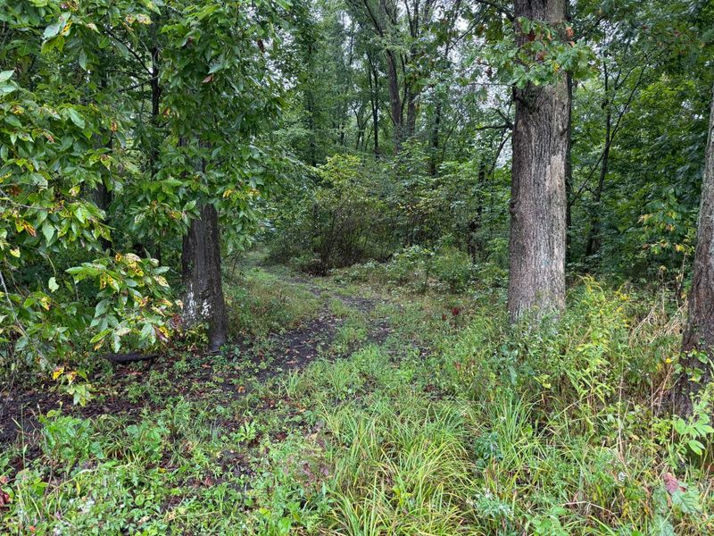 0 County Road 97, Unit Lot #2, Mount Gilead, OH 43338 Photo 10