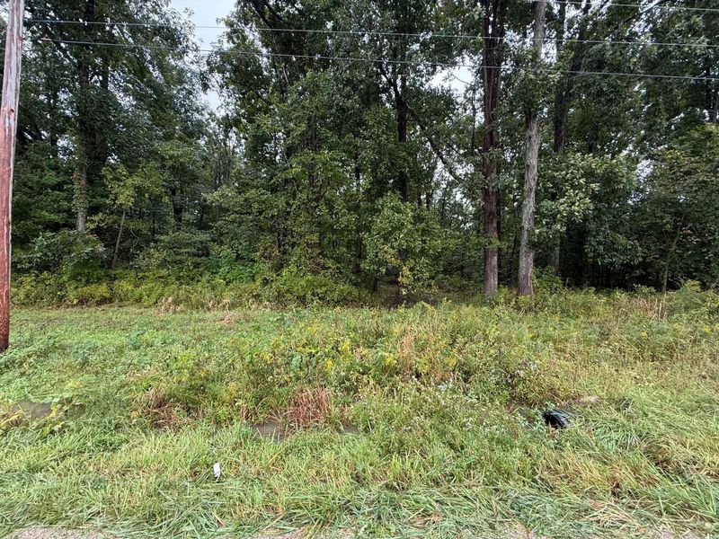 0 County Road 97, Unit Lot #2, Mount Gilead, OH 43338 Photo 8