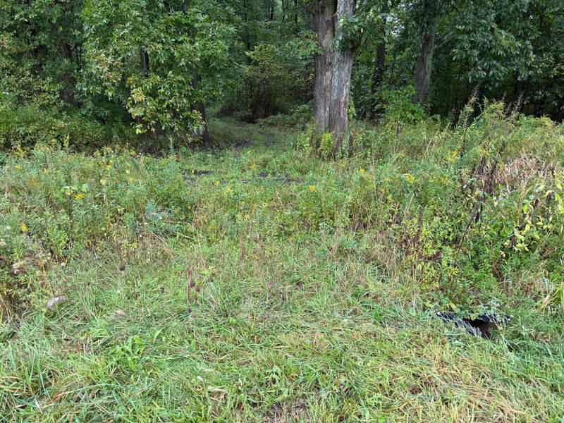 0 County Road 97, Unit Lot #2, Mount Gilead, OH 43338 Photo 9