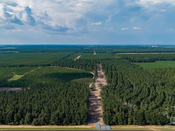 LOT 64 Posie Forest Rd, Milton, FL 32570