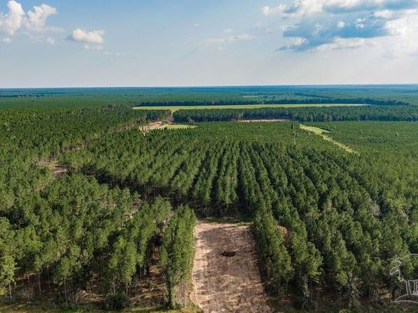 LOT 91 Posie Forest Rd, Milton, FL 32570