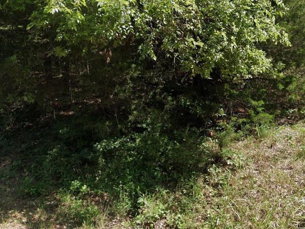 Lulu Circle , Cherokee Village, AR 72529