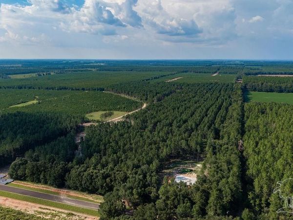 LOT 93 Posie Forest Rd, Milton, FL 32570