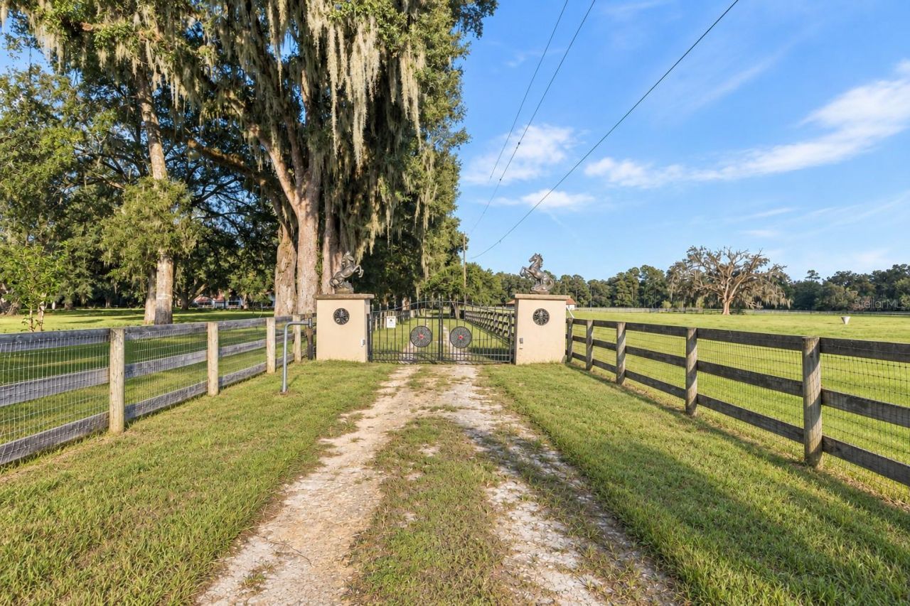 553 NE 205th Avenue, Williston, FL 32696 Photo
