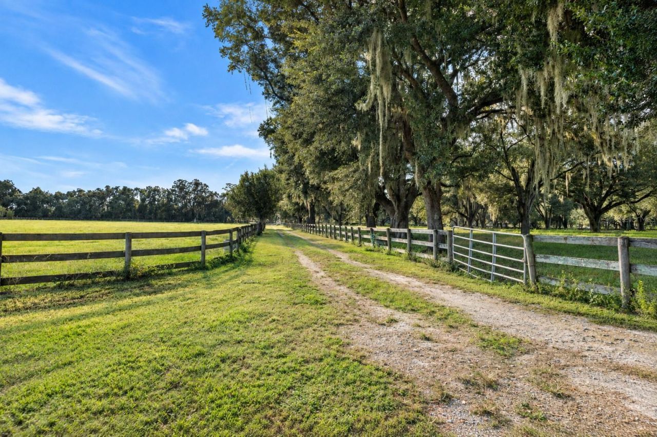 553 NE 205th Avenue, Williston, FL 32696 Photo
