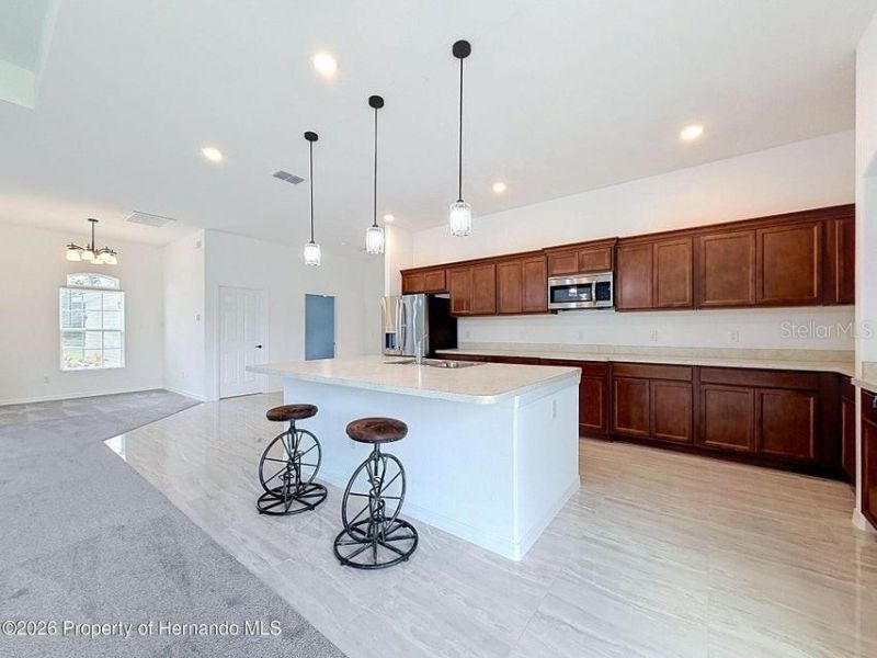 10389 Marvista Court , Weeki Wachee, FL 34614 Photo