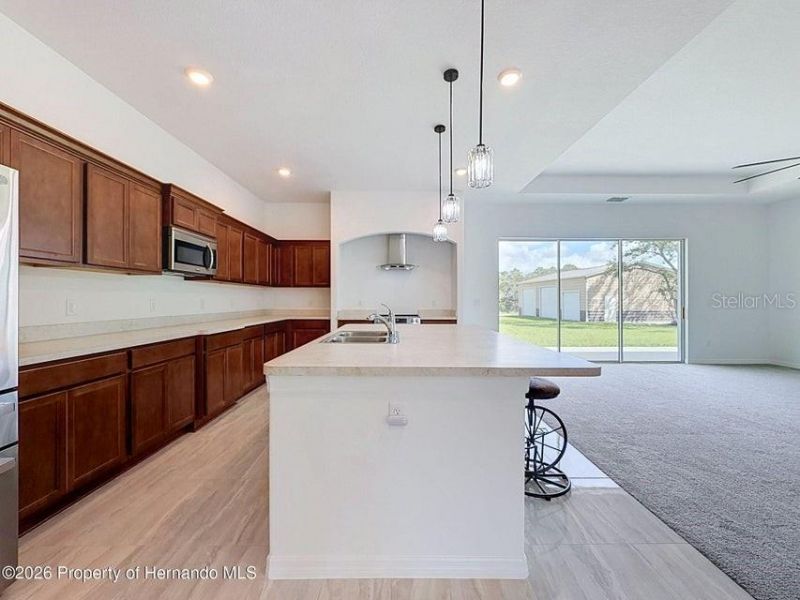 10389 Marvista Court , Weeki Wachee, FL 34614 Photo