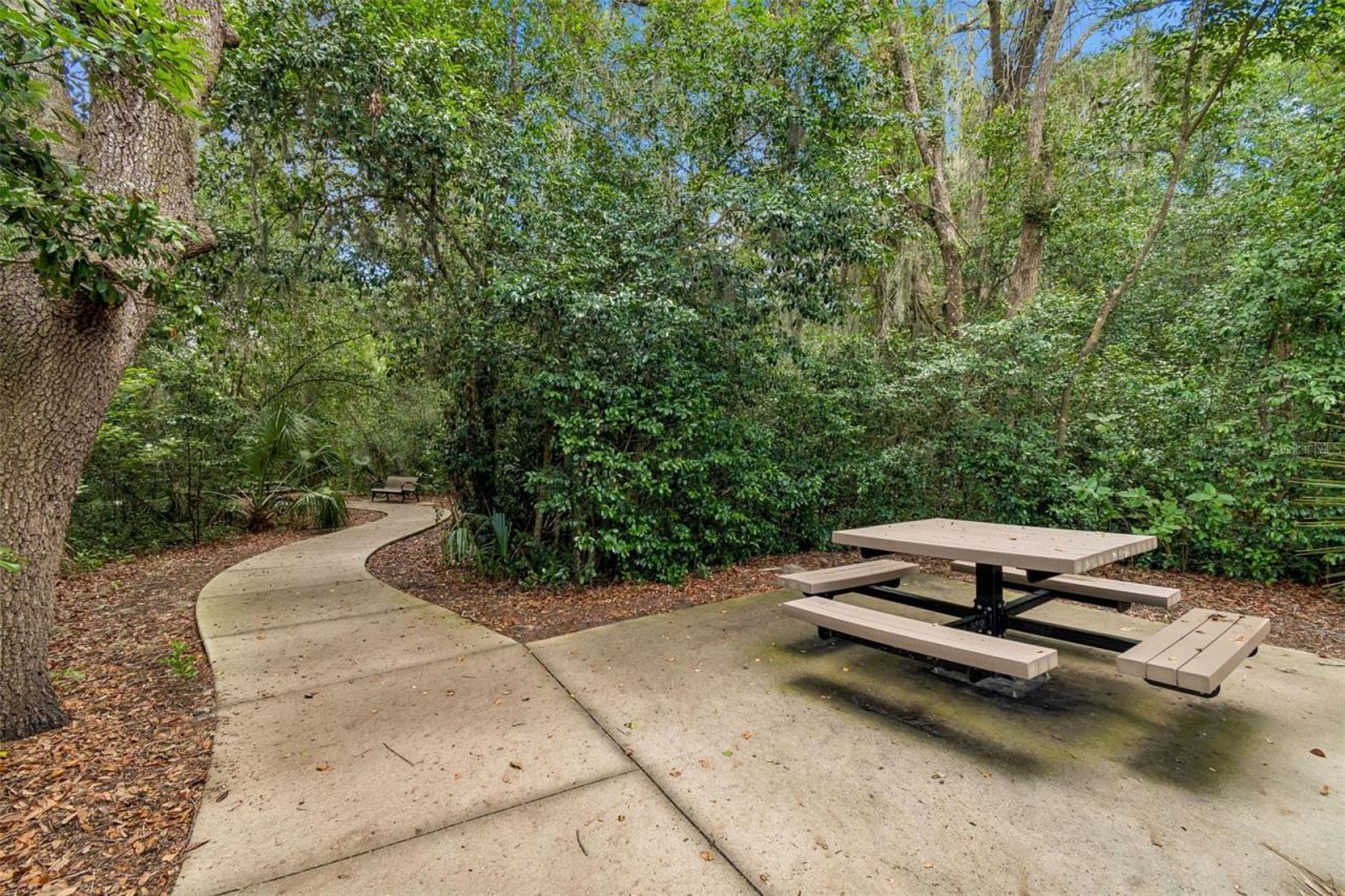 6108 Spring Crayfish Avenue , New Port Richey, FL 34653 Photo