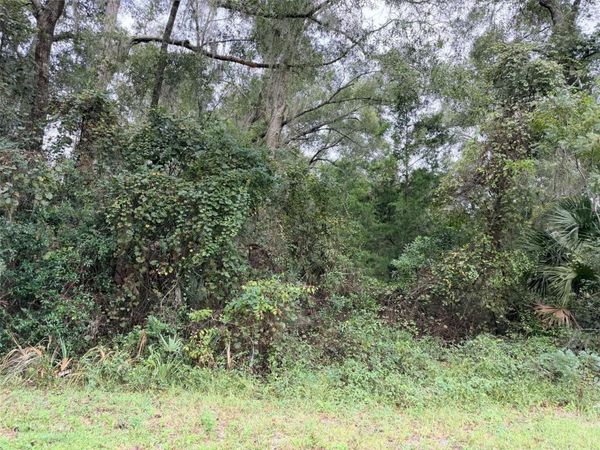 0 NW 66TH TERRACE , CHIEFLAND, FL 32626