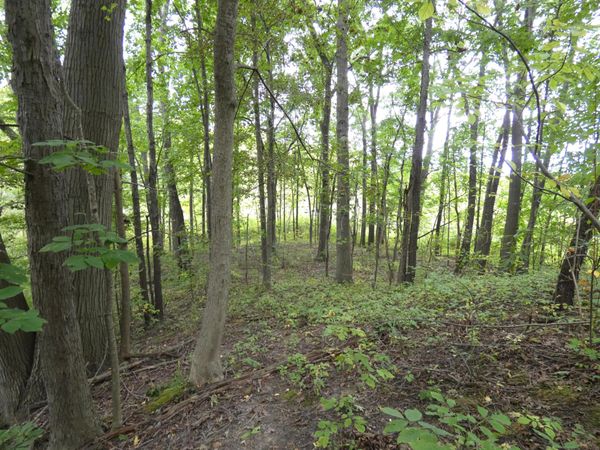 530 Rembert Court, Benton Harbor, MI 49022