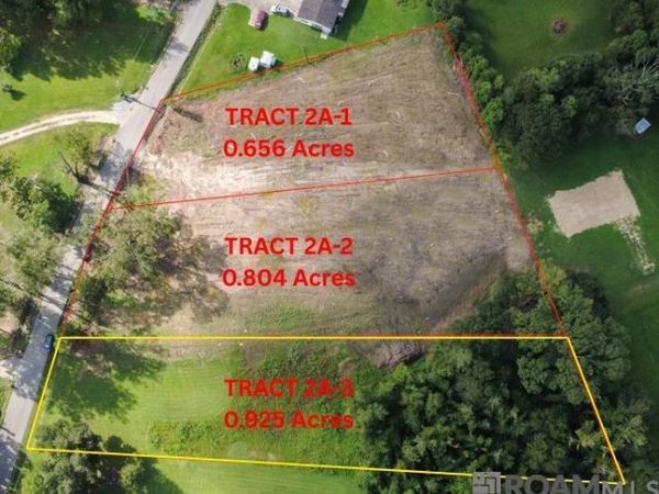 Tract 2A-3 Muddy Creek Rd, Prairieville, LA 70769