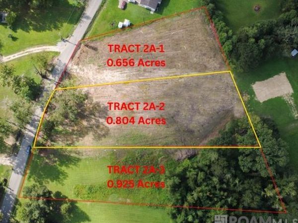 Tract 2A-2 Muddy Creek Rd, Prairieville, LA 70769