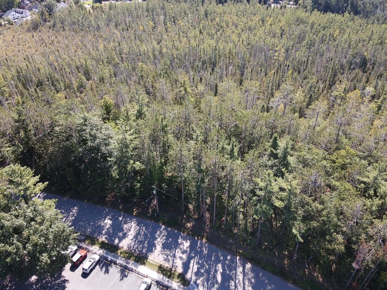V/l Chippewa Beach Road, Indian River, MI 49749 Main Photo