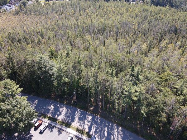 V/L Chippewa Beach Road, Indian River, MI 49749