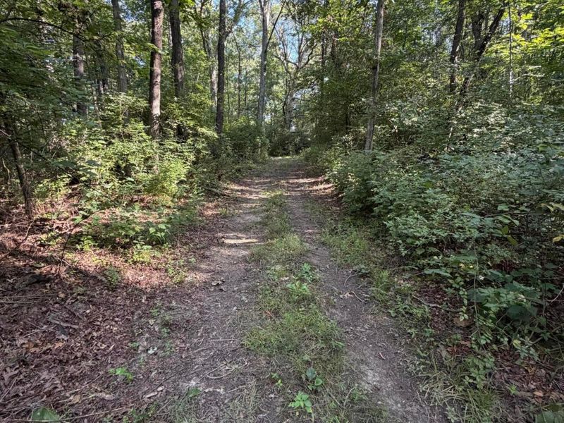 3924 State Route 131 , Fayetteville, OH 45118 Photo 79