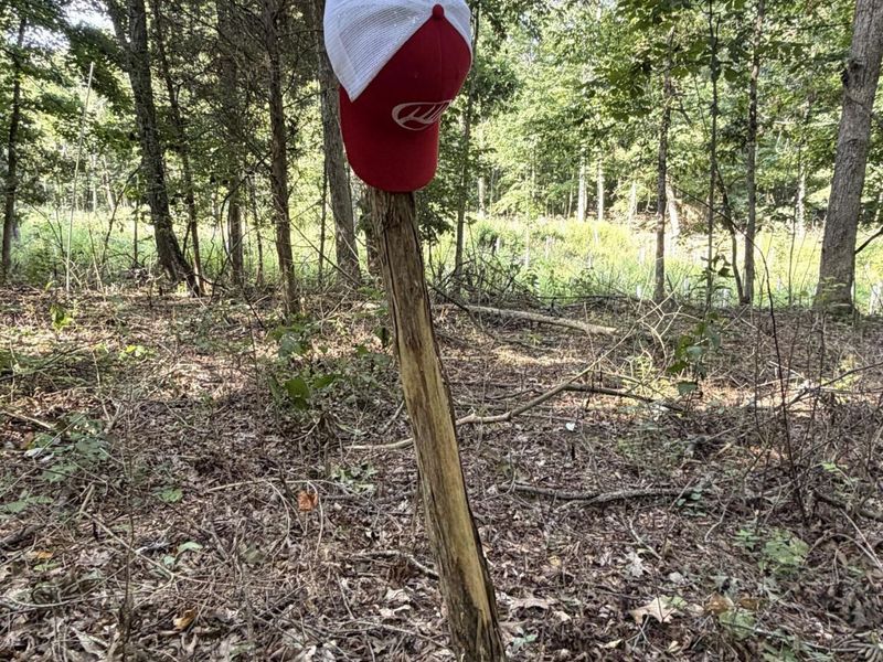 3924 State Route 131 , Fayetteville, OH 45118 Photo 80