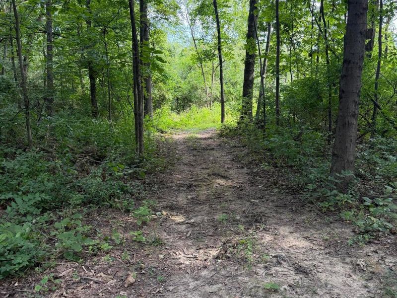 3924 State Route 131 , Fayetteville, OH 45118 Photo 90