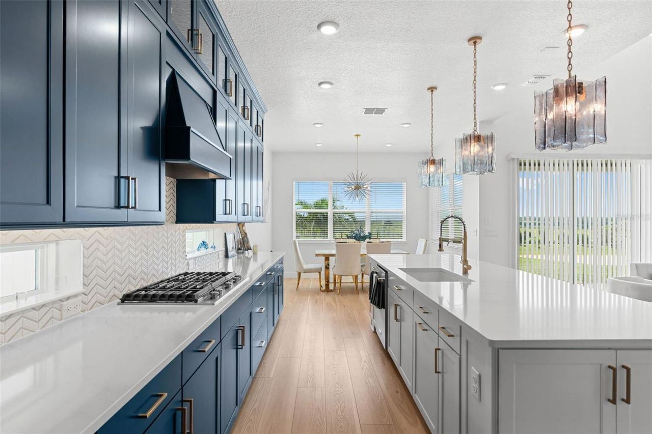 4617 Golden Birch Avenue, Clermont, FL 34714 Photo