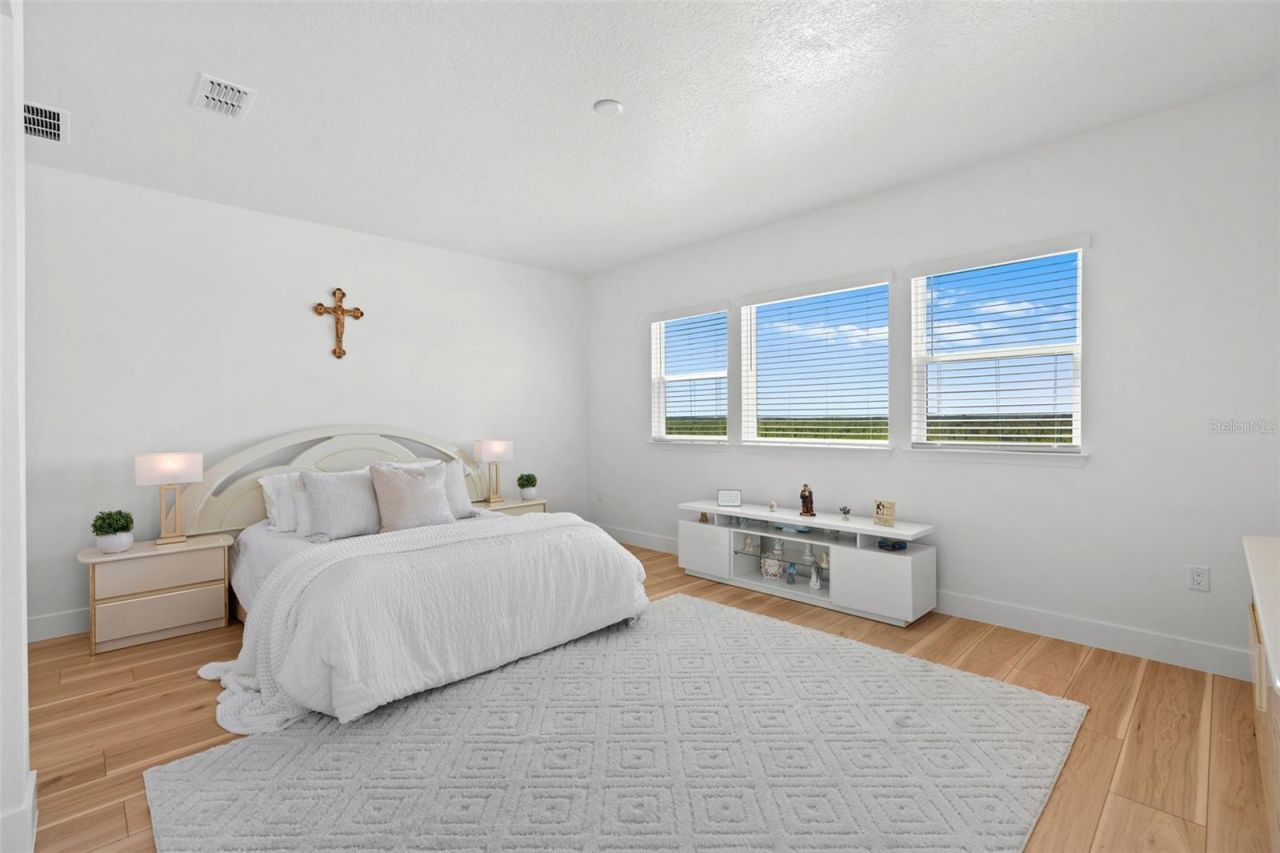 4617 Golden Birch Avenue, Clermont, FL 34714 Photo