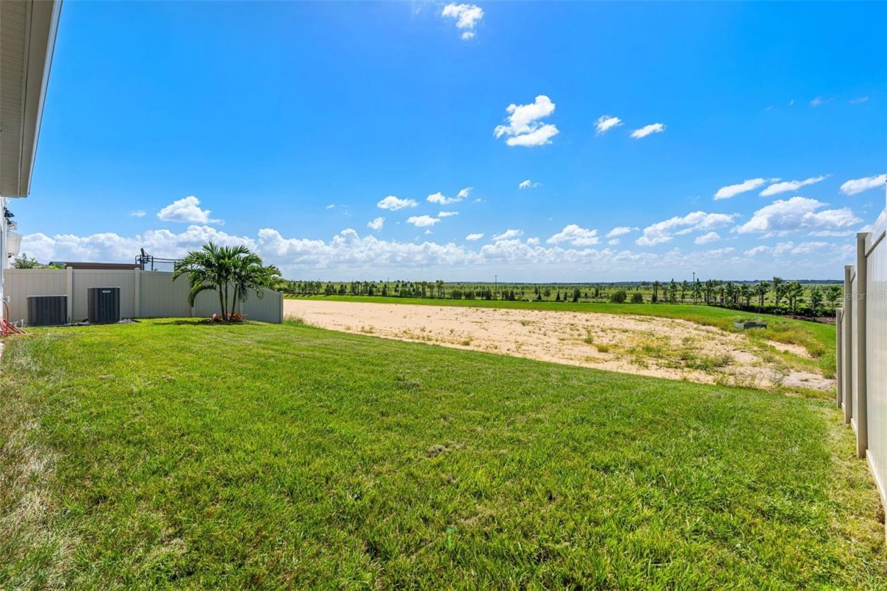 4617 Golden Birch Avenue, Clermont, FL 34714 Photo