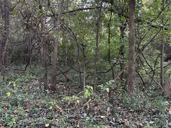 0 Corisande Hills Rd., Fenton, MO 63026