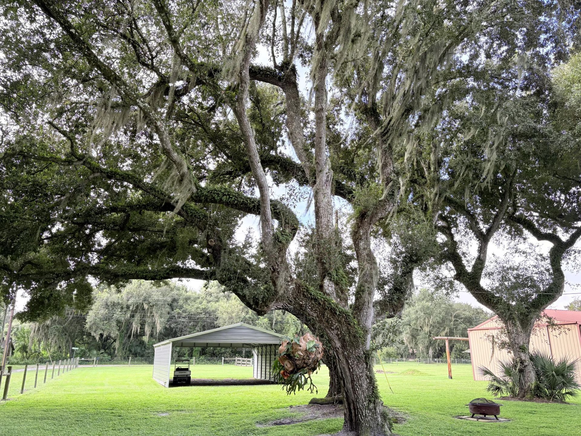 109 Natures Beauty Lane, Lorida, FL 33857 Photo