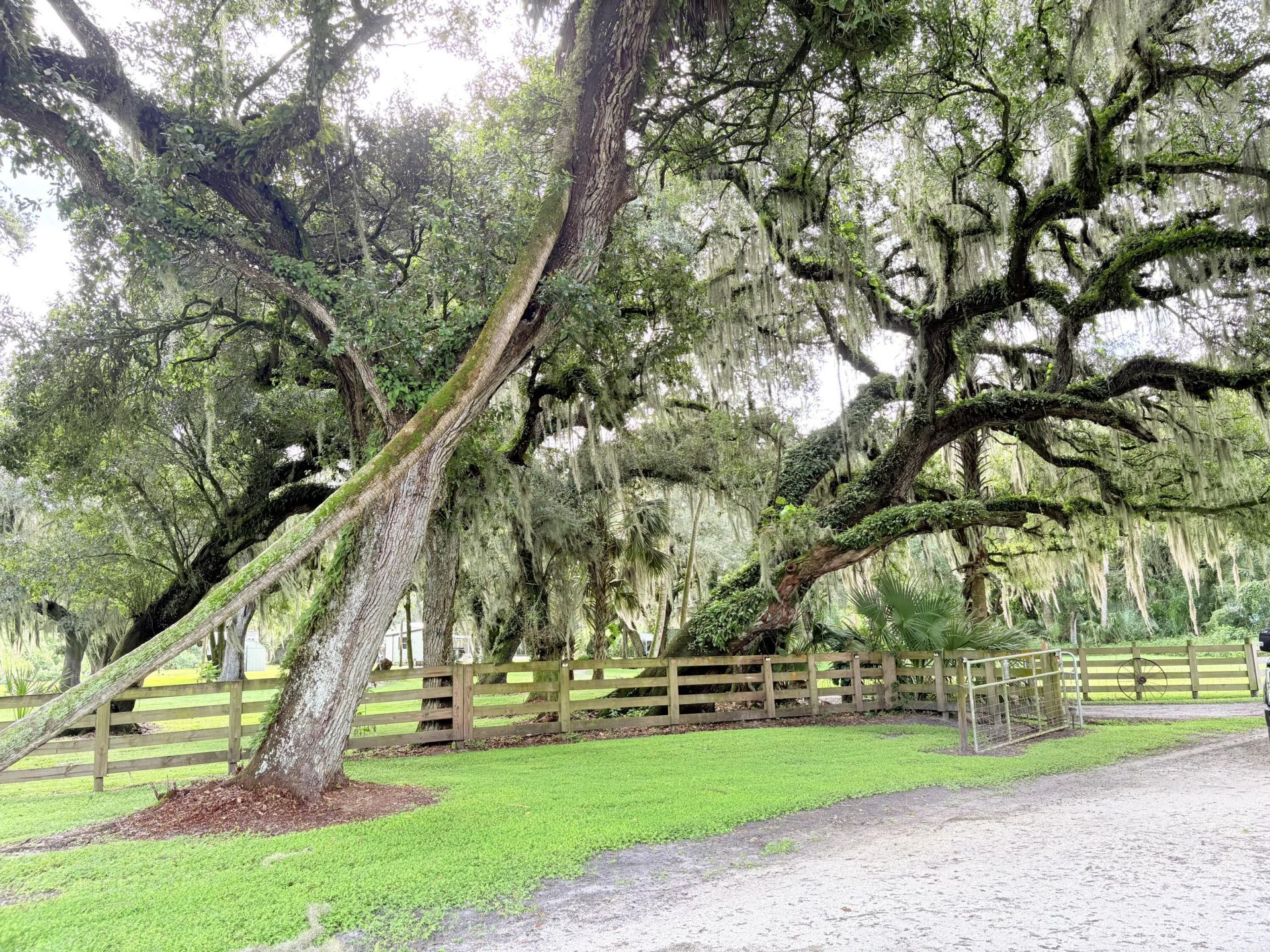 109 Natures Beauty Lane, Lorida, FL 33857 Photo
