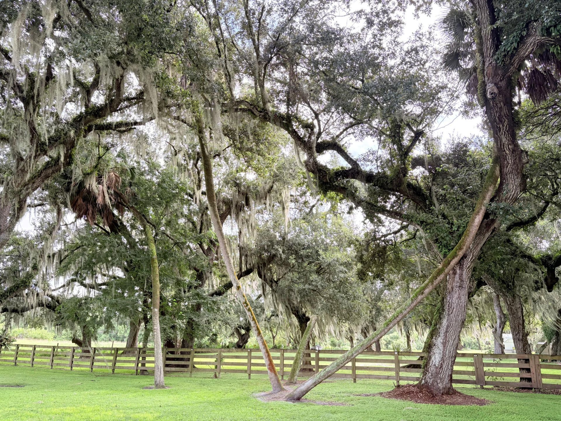109 Natures Beauty Lane, Lorida, FL 33857 Photo