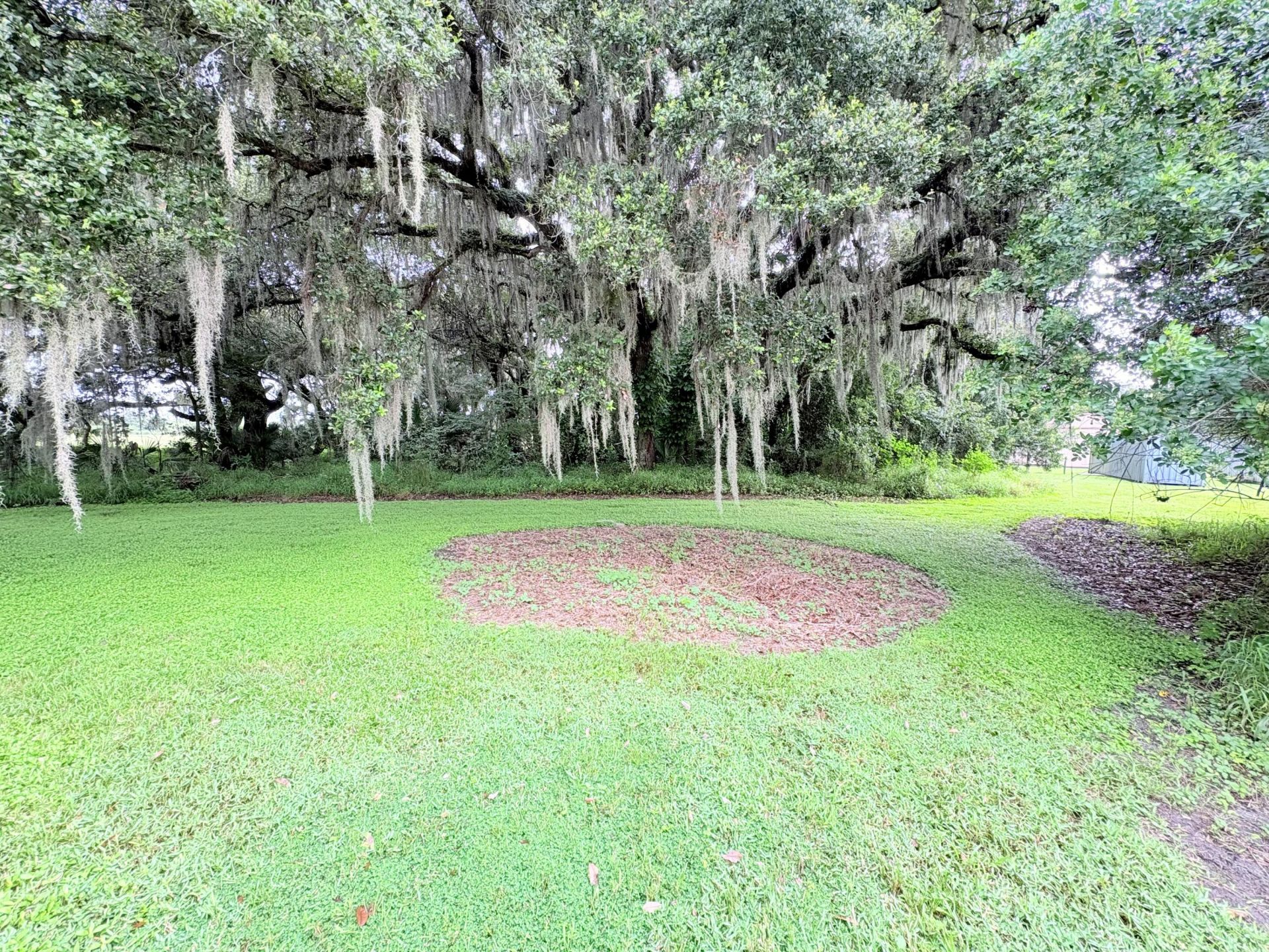 109 Natures Beauty Lane, Lorida, FL 33857 Photo