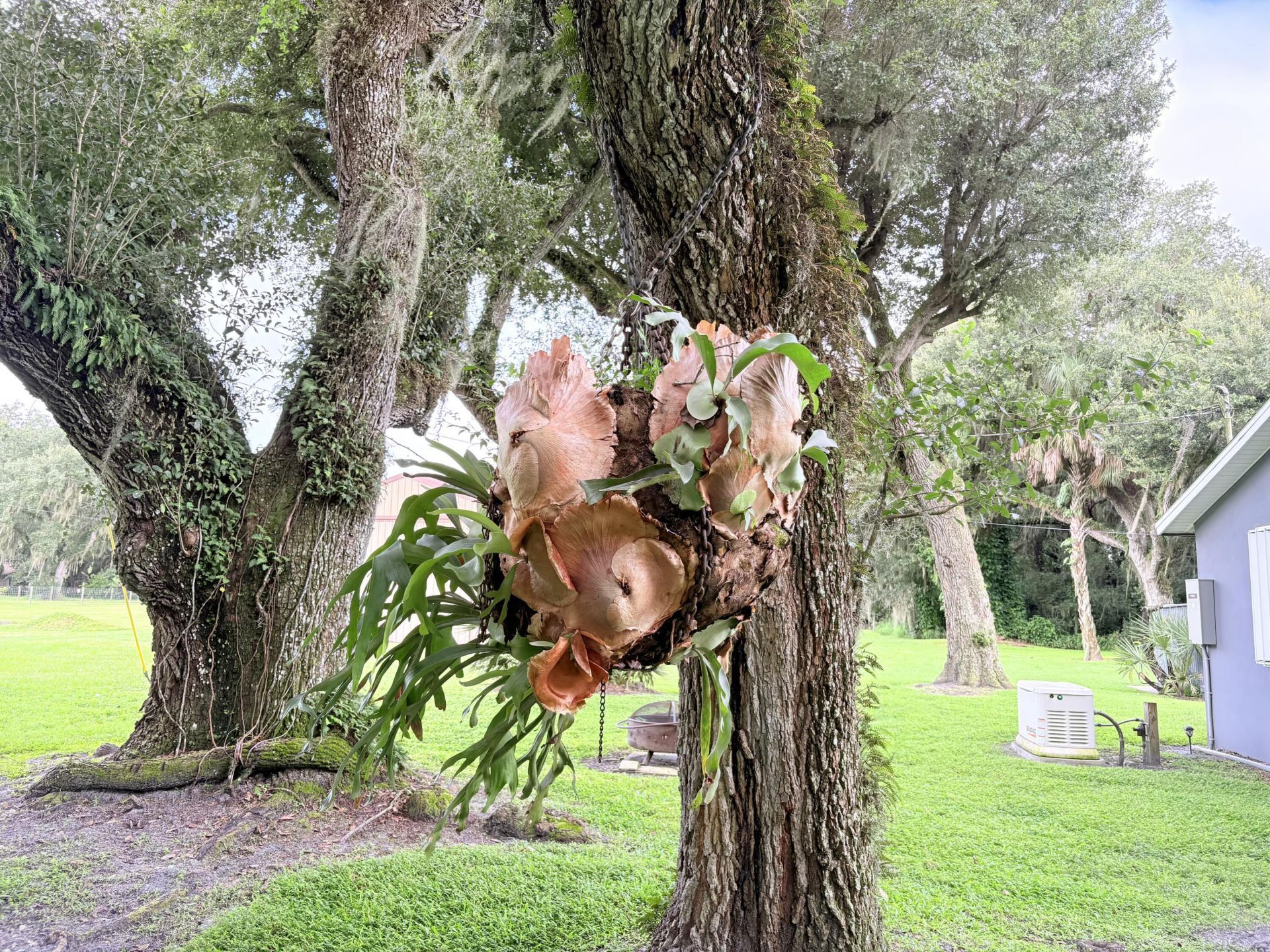 109 Natures Beauty Lane, Lorida, FL 33857 Photo