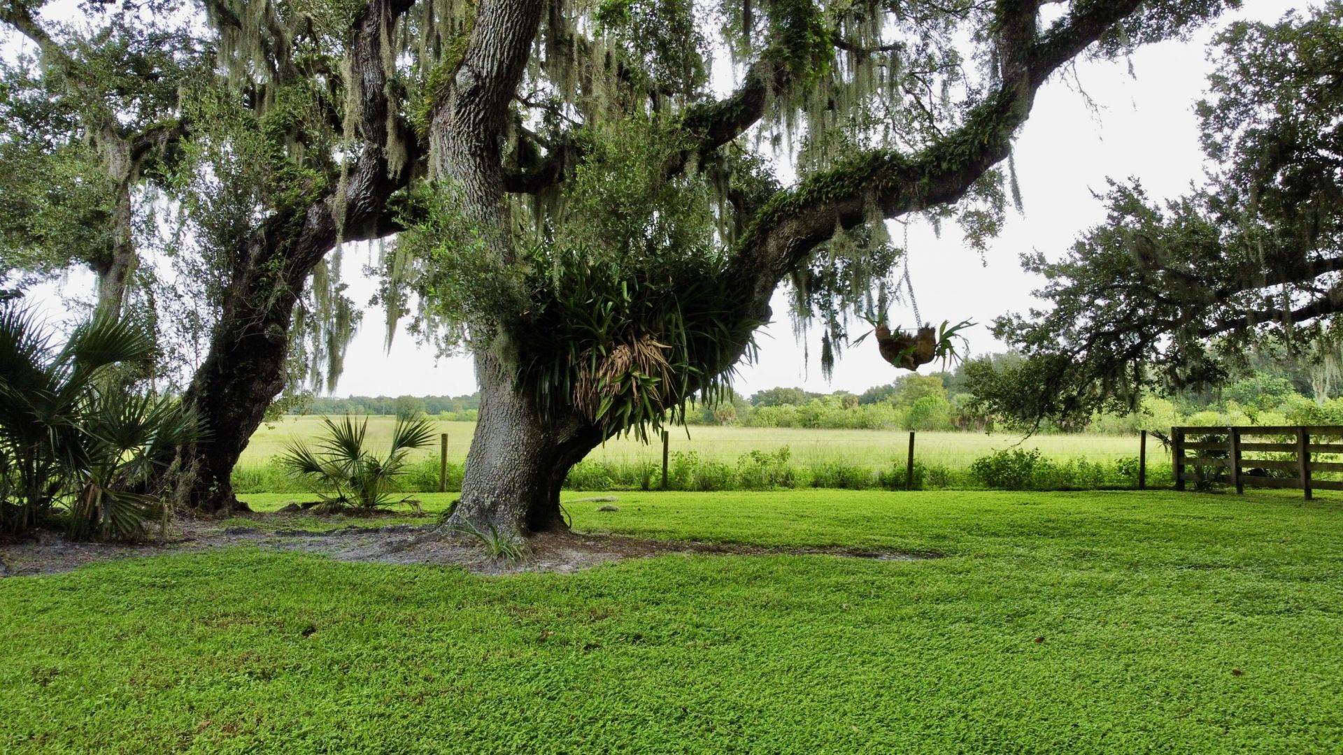 109 Natures Beauty Lane, Lorida, FL 33857 Photo