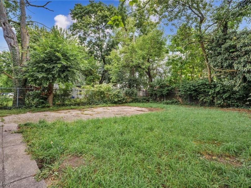 2235 E 101st Street, Cleveland, OH 44106 Photo 42