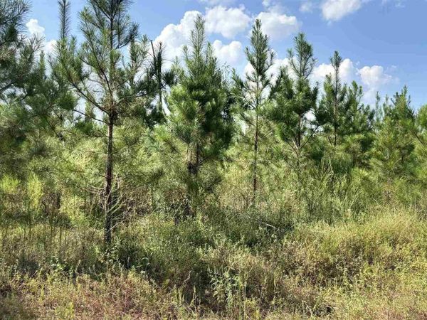 Lot 88 Posie Forest Rd, Milton, FL 32583