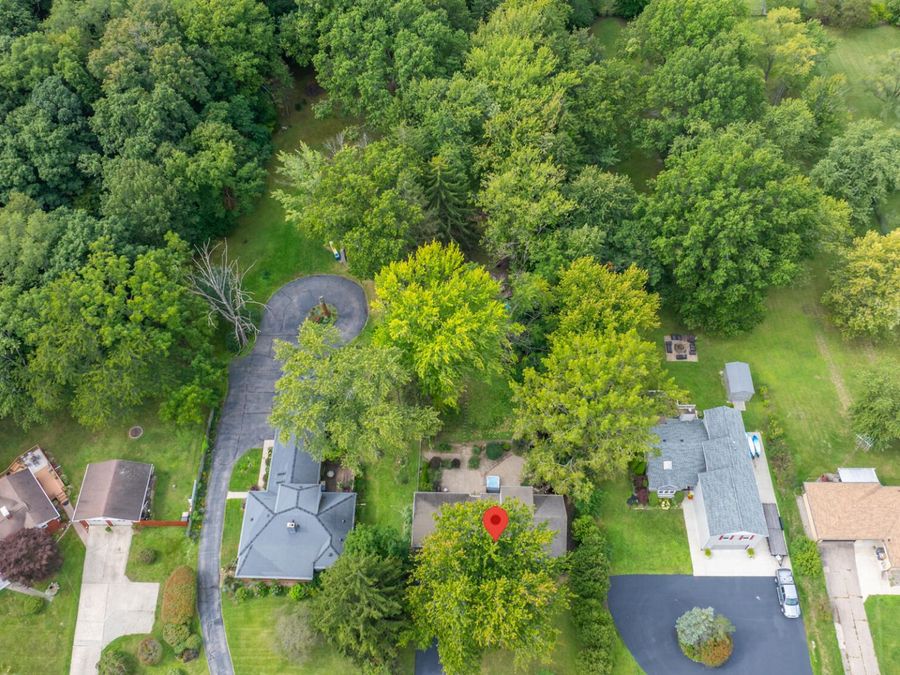 Property Image 49