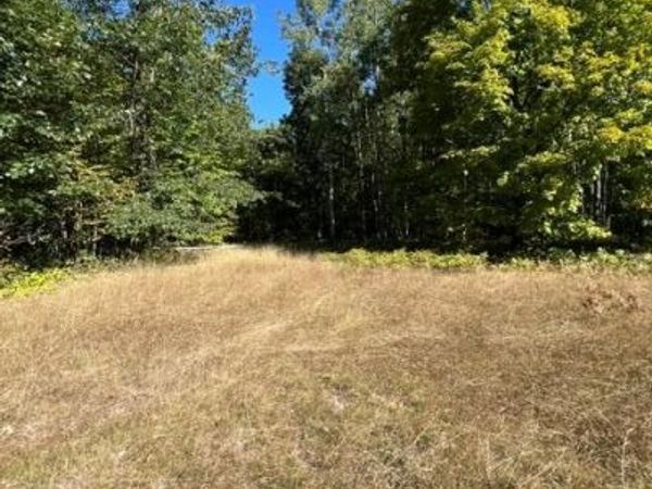 718 Worsh rd, Aloha Township, Mi 49749