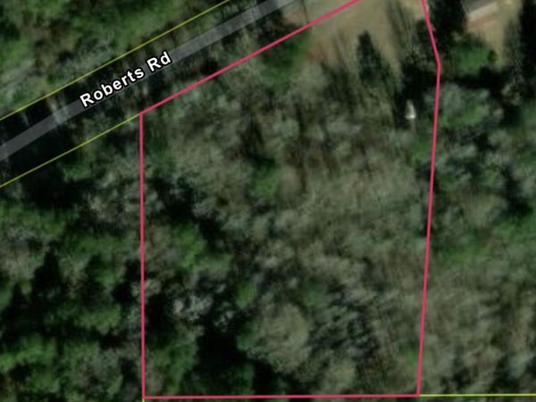 0 Roberts Road, Carthage, MS 39051